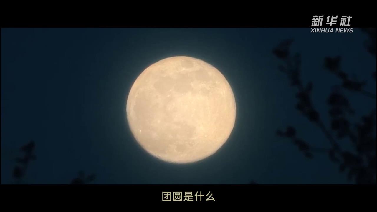 暖心微視頻丨最喜人間團圓時-新華網[00-00-01][20250212-22421978].jpg
