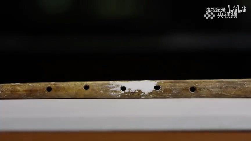 9000年前用鶴骨做成的樂器.mp4_20250328_102842.577.jpg