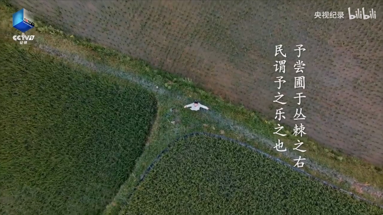 王陽明在務(wù)農(nóng)勞作中_洞見天地_.mp4_20250529_151555.678.jpg